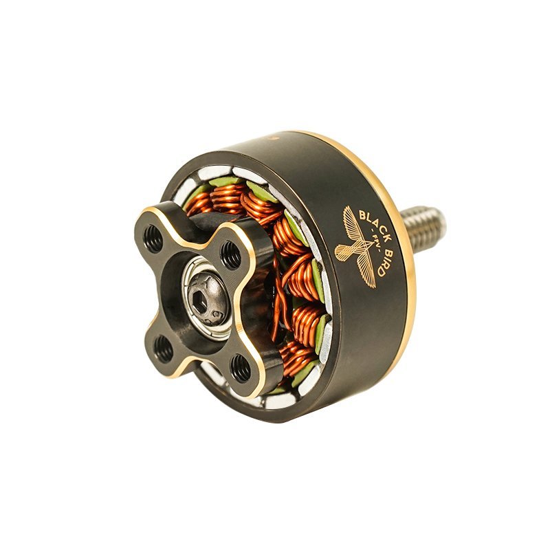 Hot Deal: Axisflying Black Bird V3 2125kv Motor