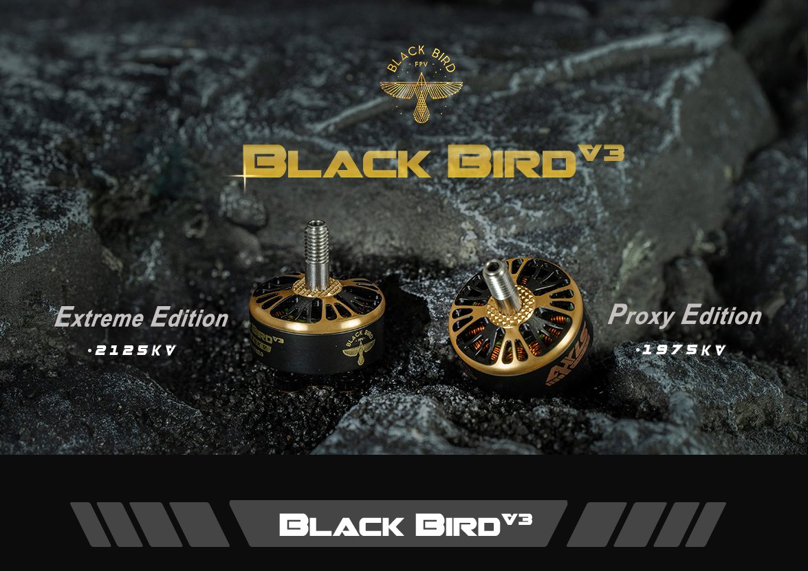 Hot Deal: Axisflying Black Bird V3 2125kv Motor